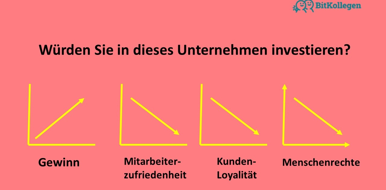 Why human rights due diligence is important for investment decisions Why human rights due diligence is important for investment decisions